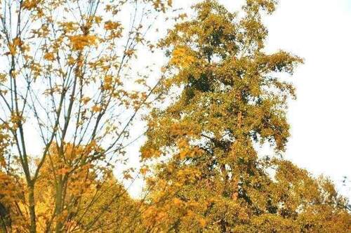 2 - 3 Zimmer Etagenwohnung in Westerngrund