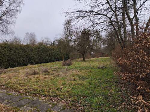 Grundstück mit Baumbestand - 