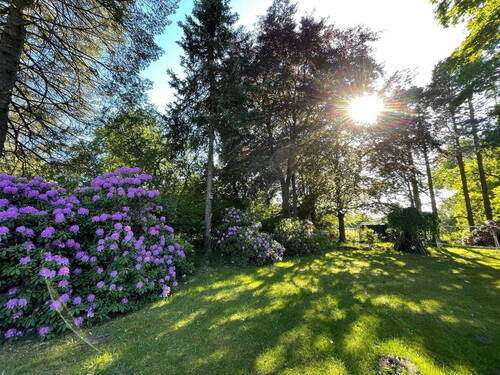 Garten 1 - Einfamilienhaus mit 180,00 m&sup2; in Wedel zum Kaufen