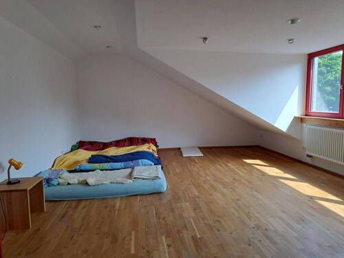 Zimmer DG - 