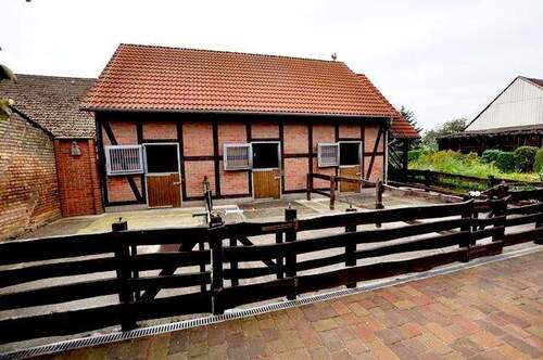 02_stall_DSC_2837_prep2.jpg - 6 Zimmer Mehrfamilienhaus, Wohnhaus zum Kaufen in Treuenbrietzen