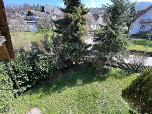 Blick in den Garten - 