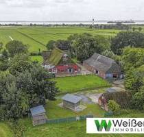 Charmantes Reetdach-Anwesen nahe der Elbe - Wohnen, Ferienvermietung & Pferdehaltung auf 10.480 m² Grdst. - Wewelsfleth
