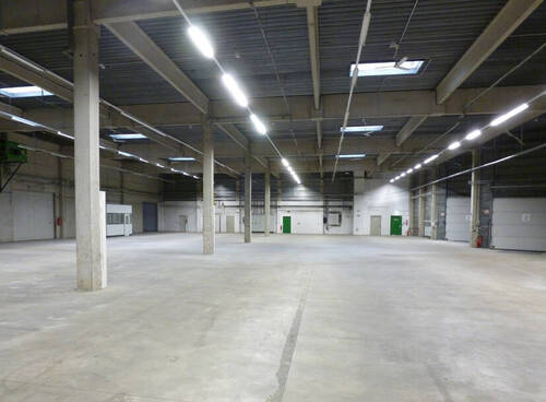 Halle1 - 