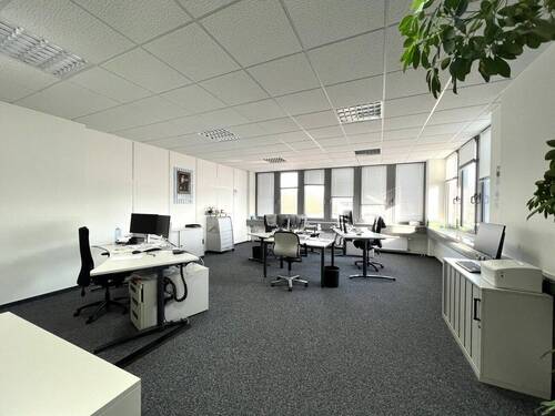 Teambüro - 