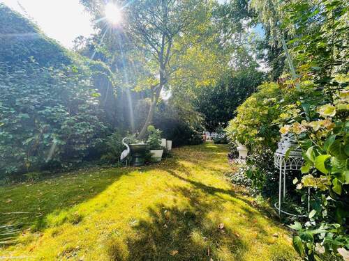 Blick in den Garten - 