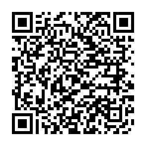 QR-Code - 