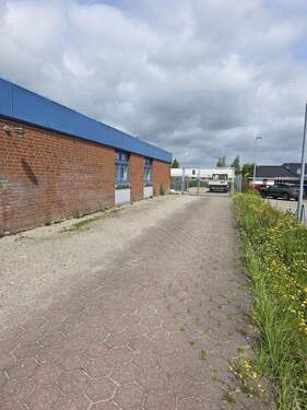 FReifleche ist Eingezäunt - 