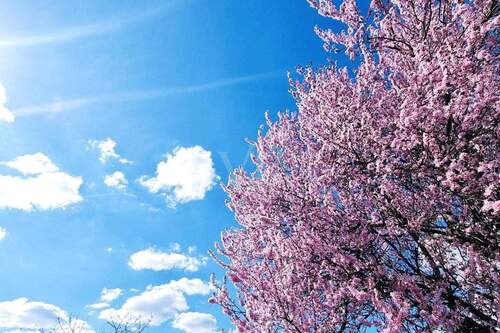 Umgebung - Grundstück zum Kaufen in Berlin