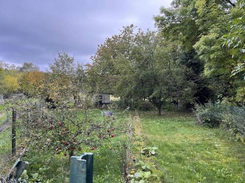 Gartengrundstück - kann zusätzlich erworben werden - 