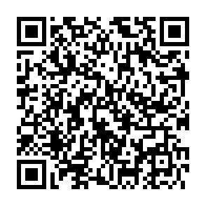 QR-Code - 