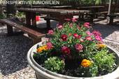 Bild 16 - 