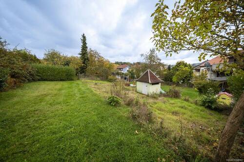 Vorderer Gartenbereich - 