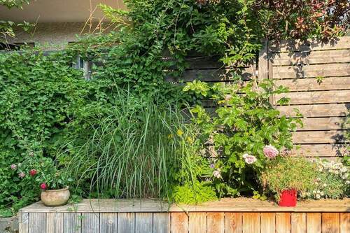 Garten im Sommer 2025 - 