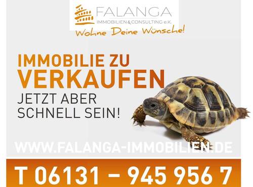 1a_Schildy - 