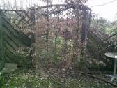 DSCF0069.JPG - 