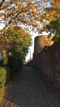 Historische Stadtmauer - 