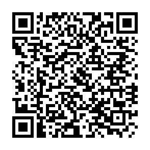 QR-Code - 