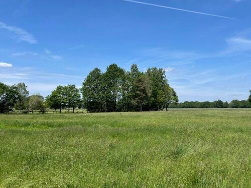 Aussicht3.jpeg - 