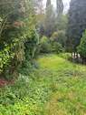 Gartenansicht - 