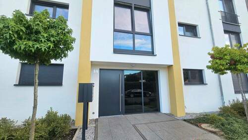 Alexander Immobilien - 