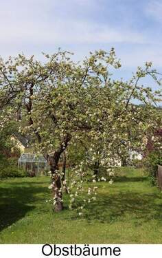 Obstgarten - 
