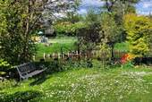 Wiese im Garten - 