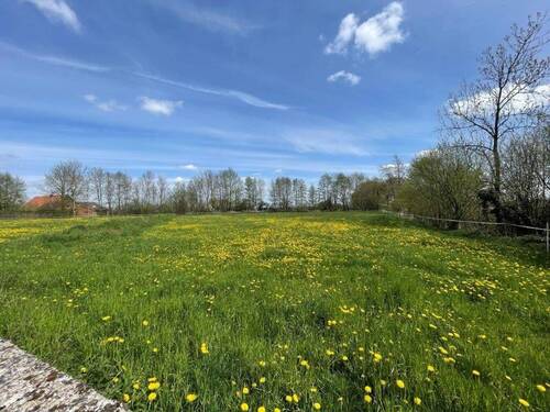 Landleben - 