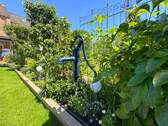 Gepflegtes Grün - 