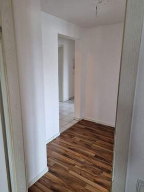 20231205_120306_resized.jpg - 