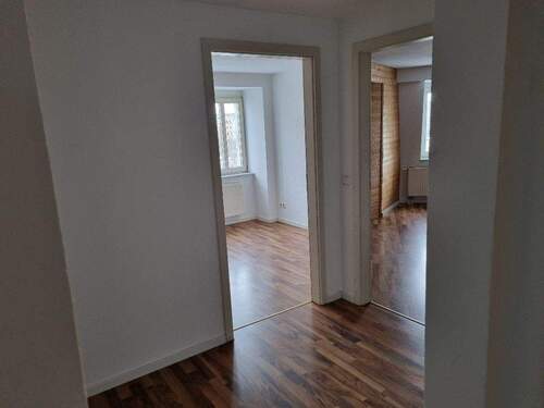 20231205_120137_resized.jpg - 