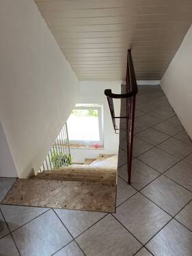 Trepper DG - 