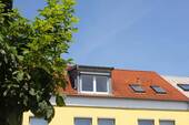 Dachgaube - 