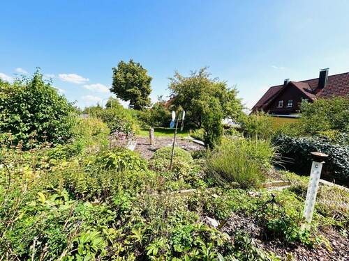 Ihr Pflanzgarten gen Osten - 