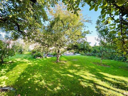 Ihr Obstgarten von Süd-Osten - 