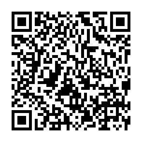 QR-Code - 