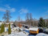 Garten im Winter - 