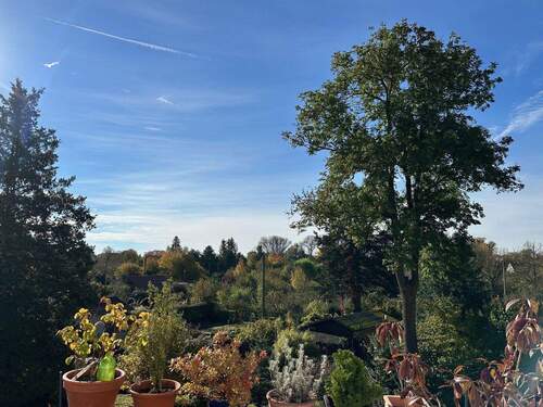 OG BalkonBlick ins Grüne - 