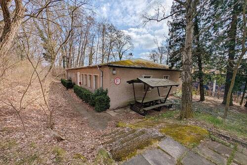 Seitenansicht - 6 Zimmer Einfamilienhaus in Werder (Havel)