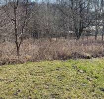 Bauen Sie nach Ihren Wünschen - 35.000,00 EUR Kaufpreis, ca.  0,00 m² in Beiersdorf (PLZ: 02736)