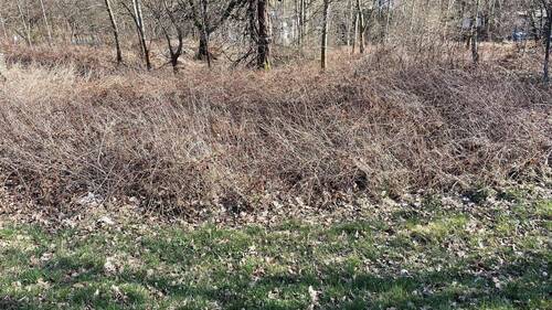 Grundstück - Grundstück in Beiersdorf