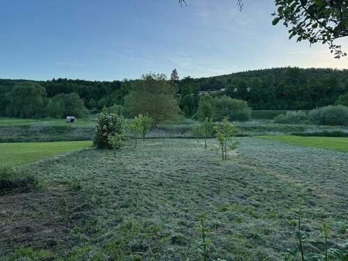 Wiese vor dem Grundstück - 