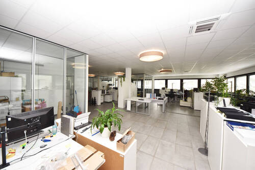 Weitere offene Bürofläche - 5 Zimmer Büro zur Miete in Elsenfeld / Rück