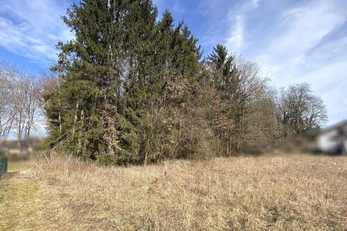 Außenansicht - Grundstück in Julbach zum Kaufen