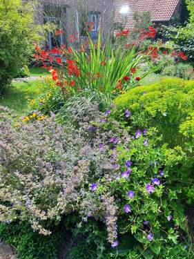 Impressionen - 