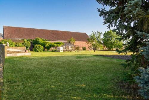 Wiese hinter der Scheune - 