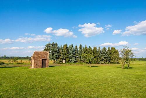 Baumgruppe nahe Grundstücksgrenze - 
