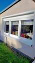 Fensterfront Wohnzimmer - 