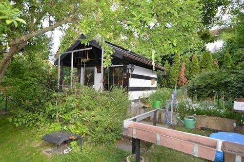 Gartenimpressionen - 9 Zimmer Einfamilienhaus in Mainz / Marienborn