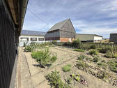 Gemüsegarten - 